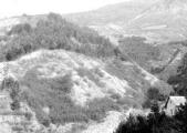 1 vue  - Cabane de la pépinière dans le torrent du Merdarel (ouvre la visionneuse)