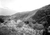 1 vue  - Torrent du Villard. Cordons dans les berges de la rive droite (ouvre la visionneuse)