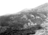 1 vue  - Rive droite du torrent de Saint-Pancrace. Peuplements de pins noirs domaniaux incendiés en 1902 (voir supplément avec tirage) (ouvre la visionneuse)