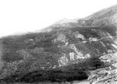 1 vue  - Rive droite du torrent de Saint-Pancrace. Peuplements de pins noirs domaniaux incendiés en 1902 (voir supplément avec tirage) (ouvre la visionneuse)