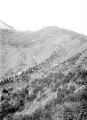 1 vue Flan de la montagne de ceüse. Boisement et correction du versant (Panorama avec 21 Fi 500 et 503 et 504)