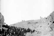 1 vue  - Route de Panacelle élargie au printemps 1909 (ouvre la visionneuse)
