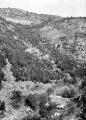1 vue Torrent du Riou-Babou, boisements sur berges et barrage en pierres sèches