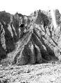 1 vue  - Torrent de Vallauria effets du décapage, berge rive droite boues glaciaires, ravinette n° 66 (ouvre la visionneuse)