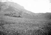 1 vue Vue d'ensemble de la montagne de Céüse. Chatillon le Désert (Panorama avec 21 Fi 502)