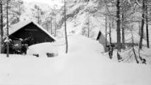 1 vue Cabane forestière de Cézanne sous la neige