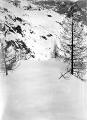 1 vue Cabane forestière de Cézanne – 12 février 1936