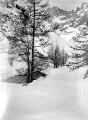 1 vue  - Cabane forestière de Cézanne – 12 février 1936 (ouvre la visionneuse)