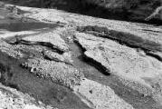 1 vue  - Dépôts de la rivière du Drac, les Fermonds, crues des 25/28 Septembre 1928 (ouvre la visionneuse)