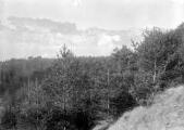 1 vue  - Forêt de La Motte - Canton de la Mourière - 3 Décembre 1895. Vue sur la montagne de Faraud (ouvre la visionneuse)