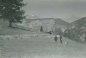 1 vue Montagne des Lauzes, chemin pastoral, au second plan, col de La Pousterle et plateau boisé d'Oréac ; au fond le Pelvoux et le Montbrison.