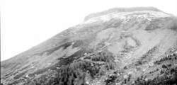 1 vue  - Panorama de la montagne de Céüse reboisée. (ouvre la visionneuse)