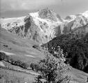 1 vue  - Les glaciers de la Meije et du Rateau, vue prise du hameau de Chazelet (ouvre la visionneuse)