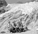 1 vue  - Le Pelvoux (3932m), Glacier Blanc (ouvre la visionneuse)