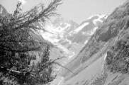 1 vue  - Le Glacier de la Pilatte (ouvre la visionneuse)