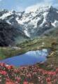 1 vue  - Le printemps en haute altitude. Le lac du LauzonEdition des Alpes, Gap (ouvre la visionneuse)