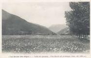 1 vue Vallée du Queyras. Pré fleuri au printemps (1450 m)Collection Robvé n°12