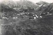 1 vue  - Le Champsaur pittoresque. Un troupeau de moutons au pâturageEdt. G. Boyer (ouvre la visionneuse)