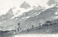 1 vue Plateau d'Emparis et la Meije (3987 m)LL-E. Robert, Grenoble