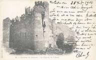 1 vue  - Le château de TallardClergue édition (ouvre la visionneuse)