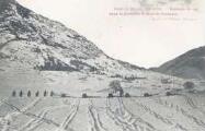 1 vue École de ski du 159e d'Infanterie. Exercice de tir dans la plaine de Villard-Saint-PancraceVollaire, Briançon