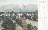 1 vue Picking Grapes in CaliforniaRieder Publ, Los Angeles