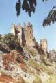 1 vue  - Château de Tallard (XIVème-XVIe siècle). Parties des ruines vues de la DuranceComité de sauvegarde du Château de Tallard (ouvre la visionneuse)