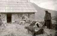 1 vue  - Refuge des bergers en haute montagneAndreis (Gap) (ouvre la visionneuse)